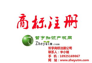 哲宇知識(shí)產(chǎn)權(quán)代理 圖 廣東國(guó)際商標(biāo)公司 國(guó)際商標(biāo)高清圖片 高清大圖